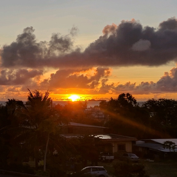 Meet your Posher, Josh - Picture 1 of 1